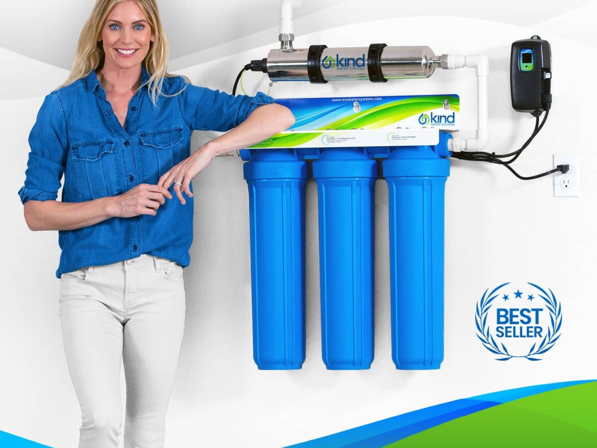 Kind water filtration system with woman at home